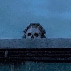 there is a skull sitting on the ledge