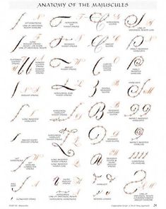 Psychological Tips For Love Alphabet Cursive Writing, Calligraphy Alphabet Tutorial, Modern Calligraphy Alphabet, Alphabet Cursive, Calligraphy Letters Alphabet, Psychological Tips, Calligraphy Fonts Alphabet, Handwriting Calligraphy, Free Calligraphy Fonts