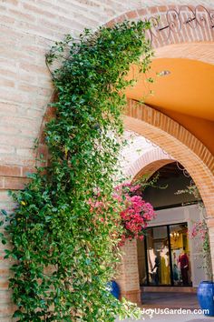 an archway with flowers and vines on it