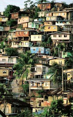 many houses are on the top of a hill with palm trees in the foreground