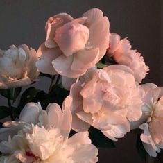 a bunch of flowers that are sitting in a vase on a table with the light coming from behind them