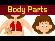 an animated image of a woman and man with the words body parts