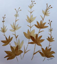 some brown and yellow leaves on a white background with watercolors in the foreground