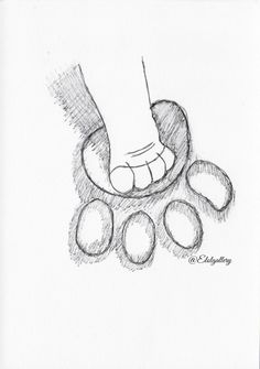 a pencil drawing of a foot with four toes