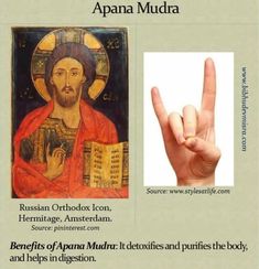 APANA MUDRA : Mudra de purification qui aide à éliminer les déchets et les toxines du corps, ainsi que les tendances négatives. Utilisé pour traiter le diabète. Il est particulièrement bénéfique pour les patients atteints de diabète de type 2. Il sert aussi à régénérer et renforcer notre santé globale grâce à son impact profond sur la purification corporelle et le soulagement des tensions. Ce mudra nous ancre fermement au sol, renforçant nos liens avec la Terre. Cette Connexion profonde favorise un sentiment de centrage et de présence dans le moment présent. Précautions et contre-indications : Si vous souffrez d'arthrose, cela peut entraîner des problèmes pour plier ou faire un cercle complet avec vos doigts. Nervus Vagus, Yoga Mudras, Christian Yoga, Yoga Girls, Yoga Hands, Yoga Posen