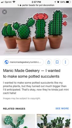 some cactuses are made out of plastic beads