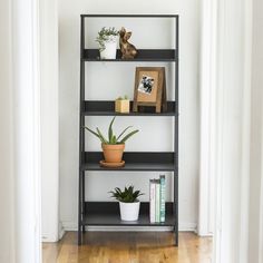 a black shelf with plants and books on it