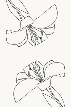 two flowers are shown in black and white