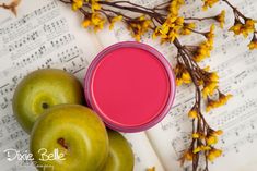 Jar of Dixie Belle chalk mineral paint in the color of  Peony Pink Best Chalk Paint, Preppy Bohemian, Dixie Belle Paint Company, Chalk Paint Colors, Paint Companies, Furniture Paint, Dixie Belle Paint, Pink Paint, Chalk Paint Furniture