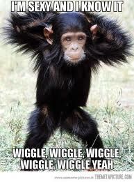 funny monkeys - Pesquisa do Google Wiggle Wiggle, Wildlife Photos, Backstreet Boys, Naha, I Know It