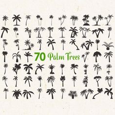 palm trees with the words 70 palm trees written in green on top and below them