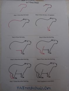 the instructions for how to draw an animal in easy steps with pictures and text on it