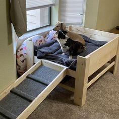 a dog sitting on top of a wooden bed