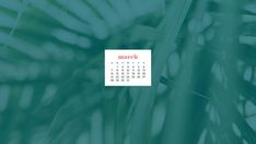 a calendar with the word march on it in front of a palm tree leaf background