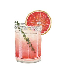 a watercolor painting of a grapefruit cocktail