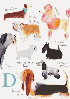 an illustrated drawing of dogs with their names