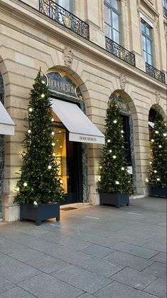 christmas trees are lined up in front of a building