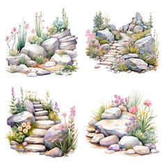 four watercolor paintings of rocks and flowers