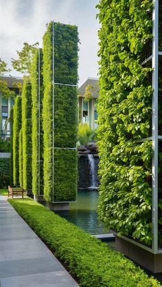 an outdoor garden with tall green plants and water feature in the center, surrounded by greenery