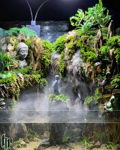 an aquarium filled with lots of plants and water next to a buddha statue in the middle