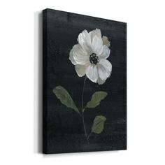 Country Botanical I Premium Gallery Wrapped Canvas - Ready to Hang A premium hand stretched gallery wrapped canvas print created to last. Color Fields, Distressed Wood, Paper Houses, White Home Decor, Metal Homes, Plant Wall, White Houses, How To Distress Wood, Gray Green