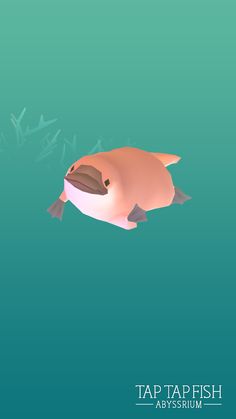 My Platypus:)  #taptapfish Download: http://onelink.to/jhe4sh Platypus Wallpaper Cute, Platypus Doodle, Platypus Wallpaper, Duckbill Platypus, Platypus Art, Cute Cartoon Animals, Art Studies, Cute Doodles