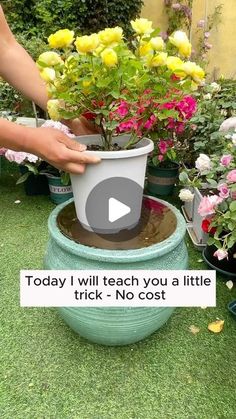 Garden Hacks | irrigation formula to make the soil loose #garden #gardening #plants #planting #planthacks #gardenhacks #gardeningmakemehappy... | Instagram Plant Propagation Ideas, Garden With Planters, Water Garden Plants, Watering Flowers, Garden Hacks Diy, Backyard Garden Diy, Indoor Water Garden, Garden Remedies, Plant Care Houseplant