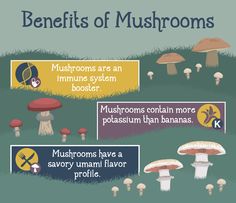 mushrooms are an immune system booster for the mushroom population and can be found in many different ways