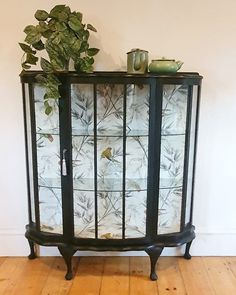 a glass cabinet with plants in it on top of a wooden floor next to a wall