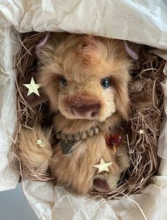 a teddy bear sitting in a nest with stars on it's head and nose