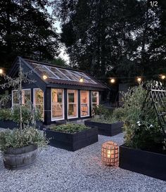 an outdoor garden with potted plants, lights and a small house in the background