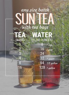 three jars filled with tea sitting on top of a cement ground next to green plants