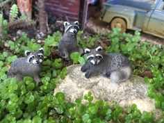 three little raccoons sitting on top of a rock in the grass next to a toy car