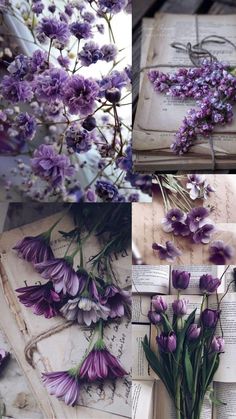 purple flowers are laying on top of an old book