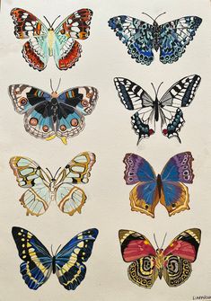 a group of butterflies sitting on top of a white paper covered in watercolors