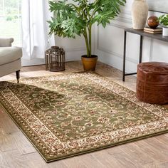 a living room area with a rug, chair and potted plant