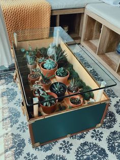 a glass table topped with potted plants on top of a rug next to a couch