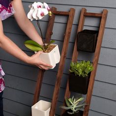 a woman is holding a potted plant in front of a ladder with succulents