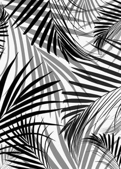 black and white palm leaves are shown in this seamlessly pattern on a white background