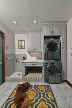 a dog laying on the floor in front of a washer and dryer combo