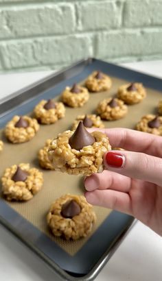 a hand holding a chocolate chip cookie in front of a baking pan full of cookies