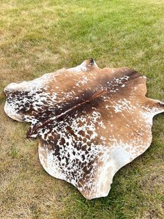 a brown and white spotted cow skin laying on the ground in an open area with grass