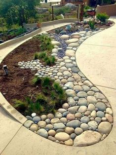 a garden with rocks and plants on the side of it, in front of a house