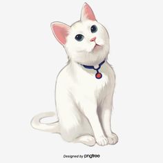 a white cat with blue eyes and a red collar sits on the ground looking up