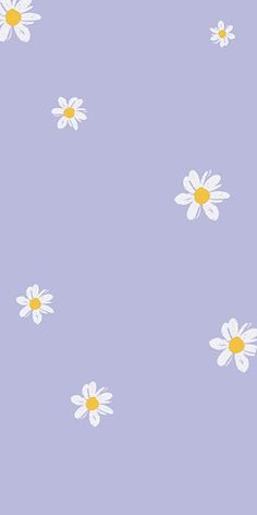 daisies on a purple background with yellow centers in the center and bottom half of the image