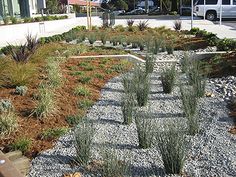 an outdoor garden with rocks and plants in the foreground, cars parked on the street behind it