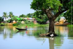 a boat floating on top of a river next to a tree