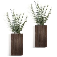 two wooden vases with plants in them