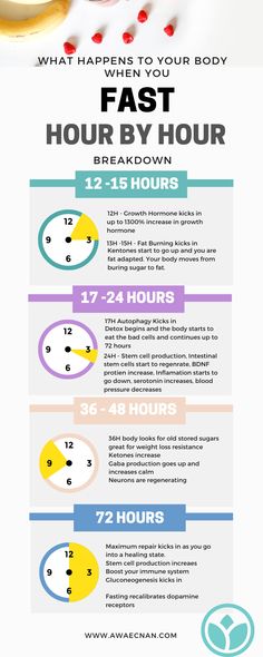 Intermittent Fasting Hours, What Is Autophagy, Fasting Benefits, Health Statistics, Fat Adapted, So Many Questions, Reduce Body Fat