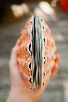 a person holding an open book in their hand on a wooden table top with sunlight shining through the pages